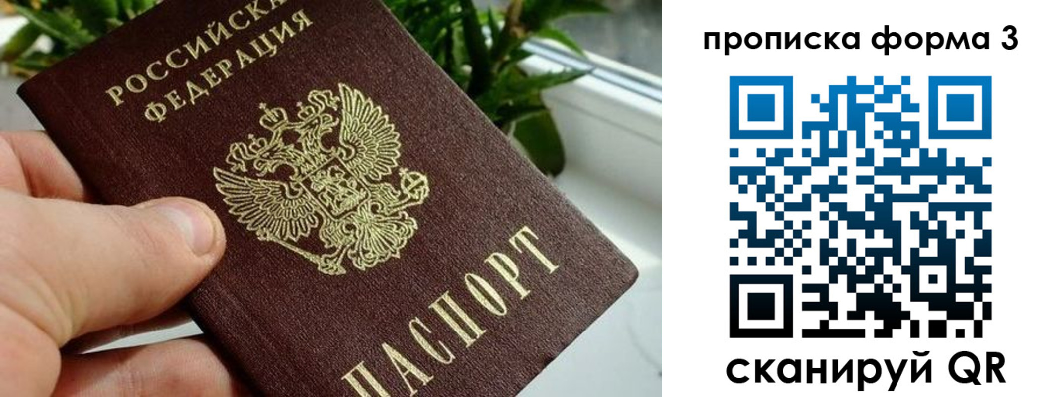 прописка паспорт в Миассе